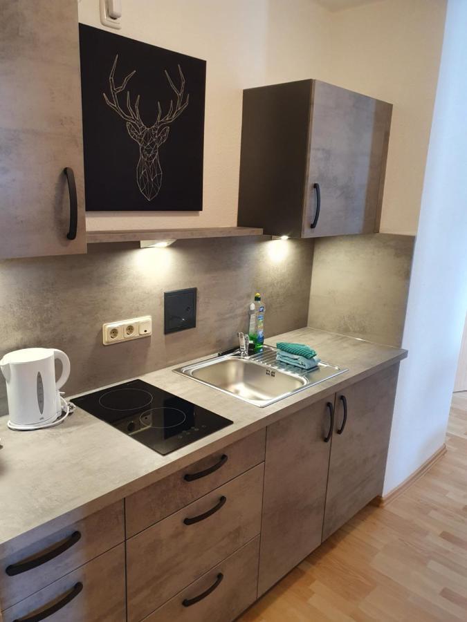 Apartments Und Bistro Zum Glasmacher Gehlberg Εξωτερικό φωτογραφία